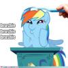 RainbowDash